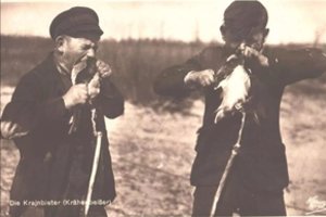 Mitai ir tikroji tiesa apie Kuršių nerijos varnų valgytojus