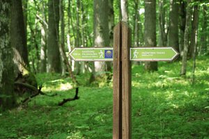 Alytaus rajone – tikras gamtos perlas: gavęs sertifikatą, kuriuos Europoje turi tik 5 šalys