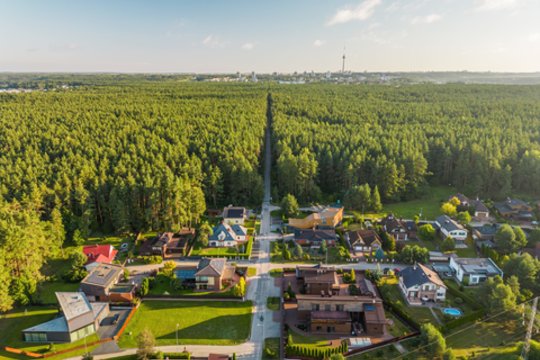 Ar jau buvote čia? Bukčių miško parko takai – pilni atradimų