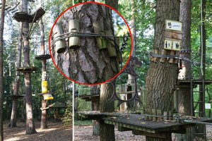 Nuotykių parke „UNO Parks“ džiūstantys medžiai gąsdina lankytojus: čia tikrai viskas gerai ir saugu?