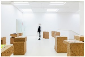 Klaipėdoje antrąsyk vyks Knygos meno festivalis