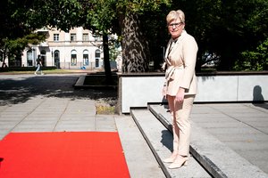 Domino efektą sukėlęs netikėtas I. Šimonytės manevras: ką projektuoja konservatorių strategai