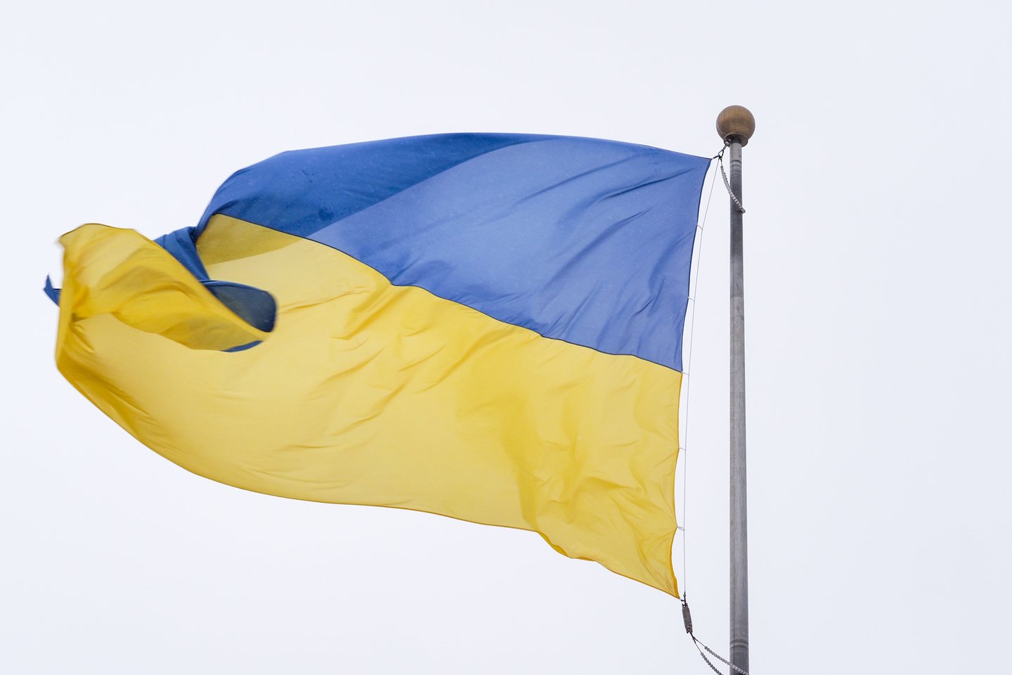 Ukrainos vėliava