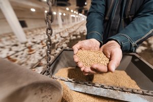 Stiprėjant „žaliojo smegenų plovimo“ tendencijai, apsaugoti gali produktų sertifikavimas