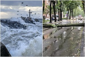 Po audros Lietuvos pajūryje skaičiuoja nuostolius: stichija vartė medžius, nuniokojo lauko terasą, atsikabino betono plokštė