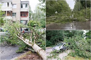 Praėjusią parą ugniagesiai 58 kartus vyko šalinti virtusių medžių