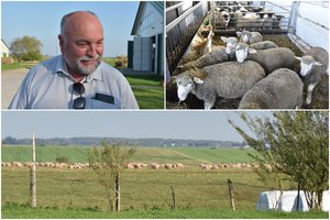 Lietuvoje populiarėja vienos rūšies mėsa: prie to prisideda ir atvykėliai iš musulmoniškų kraštų