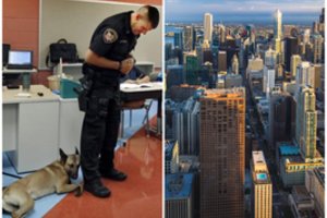 Amerikoje mokytoja dirbanti lietuvė perspėja tautiečius apie galimą grėsmę: „Lietuvos žmonės dar nesusidūrę ir net neįsivaizduoja“