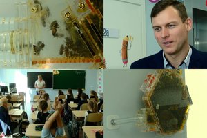 Sunku patikėti naujovėmis – bičių avilį įrengė mokyklos klasėje