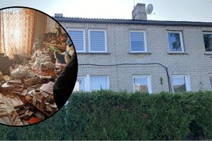 Daugiabučio gyventojus tai varo į neviltį: neįtikėtina, kuo kelerius metus užsiima jų kaimynų porelė