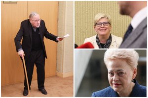 Konservatorių dėlionėje – mįslingas V. Landsbergis: patriarchas galėjo turėti kitą favoritę