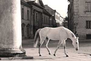 Du Vilniaus portretai – kino ekrane