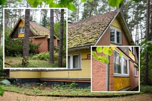 V. Rupšio skandalas atskleidė seniai užmirštą bėdą – NATO valstybėse taip jau nebūna