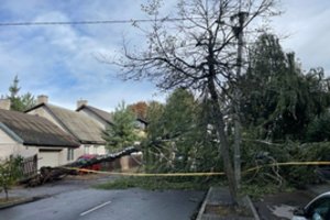 Po vėjo siautulio savaitgalį – žinia apie permainas: sinoptikas paaiškino, kaip atrodys ši savaitė