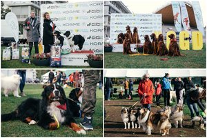 Prastas oras nesutrukdė: Vingio parke – gyvūnų mylėtojų ir augintinių šventė