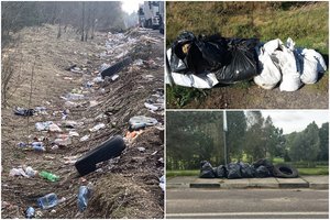 Kelininkai pasidalino netikėčiausių radinių istorijomis: pakelėse atsikratoma ir buitine technika, ir tekstile