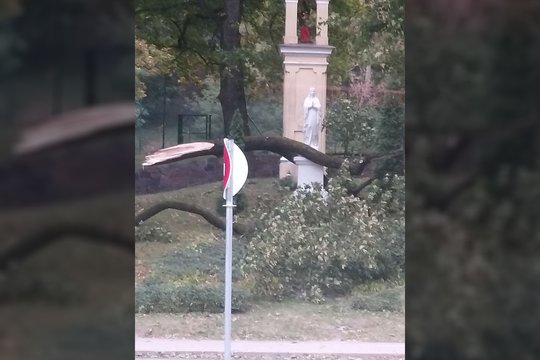 Vilnietį pribloškė vaizdas, kurį išvydo po audros: „Kaip galima netikėt“