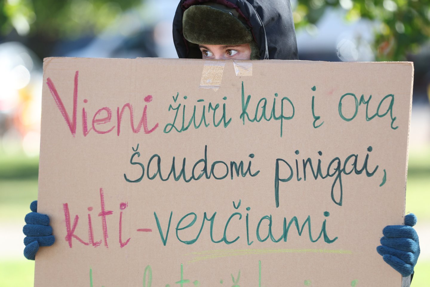 Prie Seimo antradienį perpiet surengtame pikete – negausus protestuotojų būrelis, tačiau jų įspėjimai – itin drastiški.<br>R.Danisevičiaus nuotr.