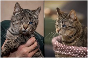 Regėjimą praradusi Lulu nori dalintis savo meile ir švelnumu: „Nors aš nematau Tavęs, bet jaučiu“