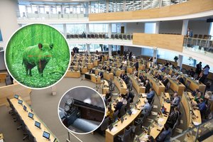 Seimas tarė „ne“: naktinio matymo taikiklių medžioklėje nebus