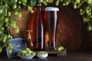 Perspėja: dėl klimato kaitos alaus mėgėjų laukia niūri ateitis