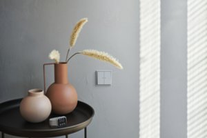 Norintiems gyventi išmaniai, neprireiks daug pastangų: galima pradėti vos nuo vieno jungiklio