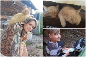 Bajoro dukros širdyje telpa visi: poniai, avys, vištos, šunys ir katinai čia rado namus 