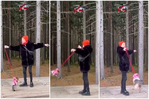 Dėl G. Ivanausko „helikopterio“ su šuniuku policijai pradėjus tyrimą – veterinaro įspėjimas: galėjo baigtis tragiškai