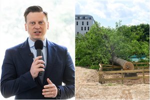 V. Benkunskas: teismas tenkino savivaldybės skundą, prokuratūra turės iš naujo įvertinti Ceikinių g. ąžuolo nukirtimą