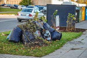 Gėlynai šalia šiukšlių konteinerių nepadėjo: gyventojai ir toliau meta atliekas kur papuola