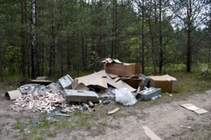 „Tvarkau Lietuvą“ nuo rugsėjo sulaukė daugiau nei 100 pranešimų: 7 nelegalūs šiukšlynai jau sutvarkyti 