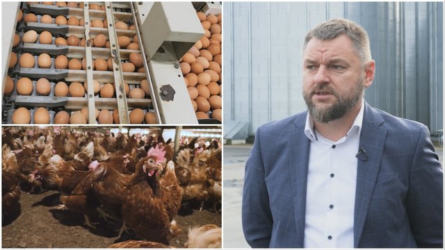 Kokius kiaušinius galima žymėti ženklu „Nacionalinė kokybė Lietuva“?