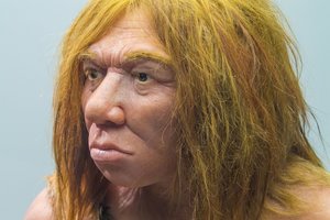 Mokslininkai pagaliau įminė mįslę, kodėl europiečiai turi mažiau neandertaliečių DNR nei rytų azijiečiai