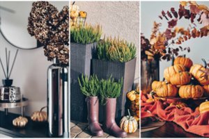 Šakietės namų ir kiemo dekoracijos – lyg iš blizgaus žurnalo puslapių: viską užsiaugina pati