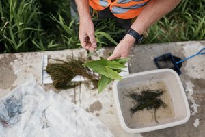 Baigtas pirmasis kompleksinis Neries tyrimas Vilniuje: upė švari, gausi retomis gyvūnų rūšimis, bet turi probleminių vietų