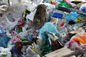 ES rekordiškai išaugo pakuočių atliekų kiekis: pasiekė 188,7 kg kiekvienam gyventojui