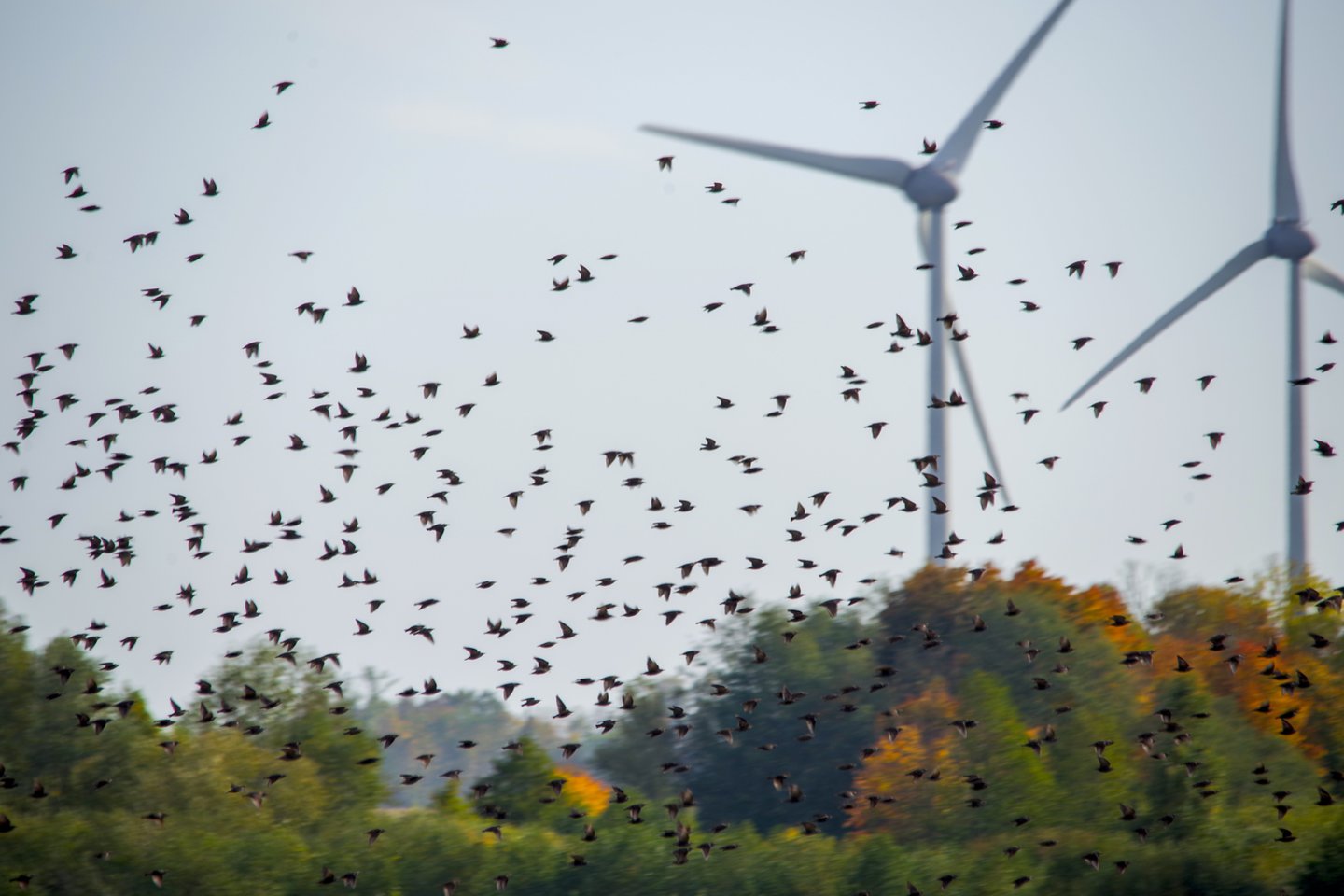 The First Offshore Wind Farm In The Baltic Sea By 2028 Is Not   142058391 C508b059 9c29 4374 9d87 69c72e5fd022 