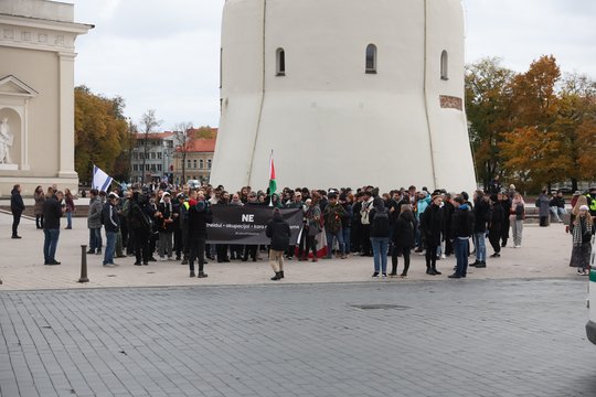 Vilniaus centre – palestiniečių palaikymo akcija: kilo konfliktas su palaikančiais Izaelį.<br> R. Danisevičiaus nuotr.