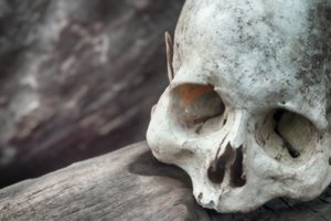 Nemalonus atradimas: gali būti, kad šiaurės vakarų Europoje kanibalizmas buvo įprasta laidojimo praktika