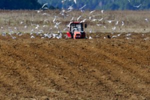 Ūkininkai kreipėsi į visas politines partijas: perdavė svarbią žinią