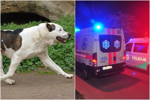Kaune iš privačios valdos išlėkęs agresyvus šuo smarkiai apkandžiojo pro šalį ėjusį vaiką: šeimininkui – rimti nemalonumai