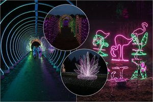 Čia lankytojų laukia kerintys vaizdai: atvertas „Lumina“ šviesų instaliacijų parkas