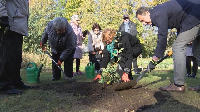 Jubiliejaus proga KU Botanikos sode pasodintas Stelmužės ąžuolas: ilgaamžiškumui – išskirtinis ritualas