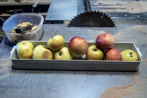 Nušalusių sodų savininkai nepatenkinti: lietuviškų obuolių trūks, o kompensacijos per mažos