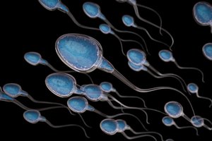 Spermatozoidai juda pažeisdami trečiąjį Niutono dėsnį – ir mokslininkai pagaliau išsiaiškino, kaip tai pavyksta