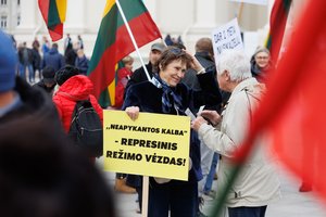 Prie Seimo bręsta mitingas dėl kiekvieno piniginę paliesiančio klausimo: politologas įspėja – situacija tik aštrės