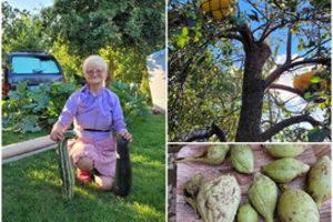 Sode Šilutės pašonėje Kazė krečia stebuklus: užsukę sunkiai randa žodžių įspūdžiams apibūdinti