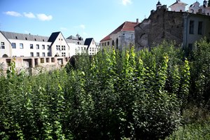 Kompensacijos už privačių saugomų vietovių įsteigimą bus skirtos ne visiems: kodėl?