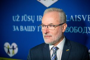 J. Razma apie elektroninį balsavimą Pasaulio lietuvių rinkimų apygardoje: sunkiai įsivaizduojamas