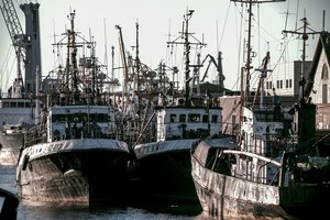 Nustatytos žvejybos Baltijos jūroje 2024 m. galimybės